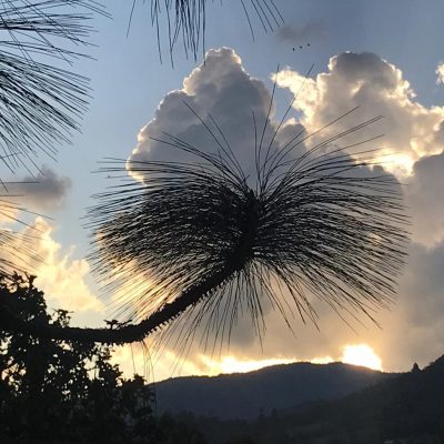 Cómo canalizar mensajes de luz